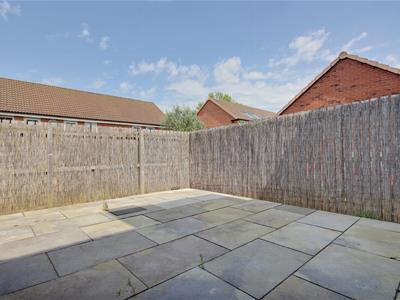 Picture 11